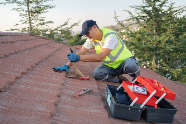 Best Storm Damage Roof Repair  in Apalachicola, FL